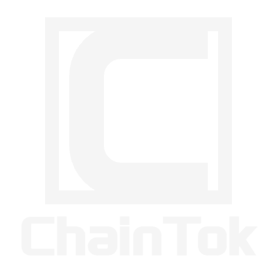 ChainTok Logo